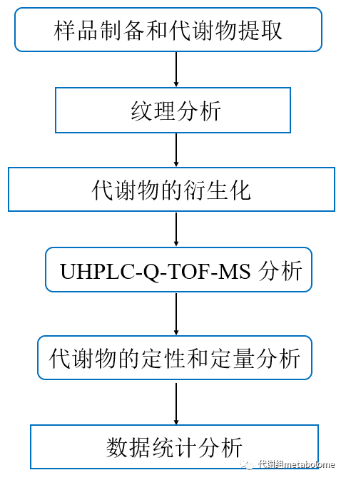 1654008376145073988.png 001.png