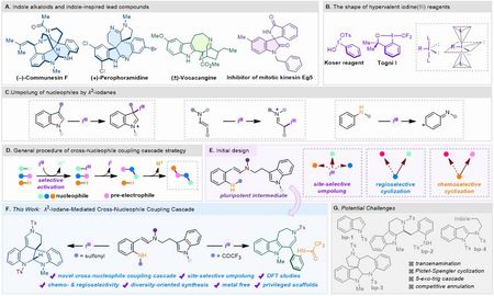 1757078039041040265.jpg 111.jpg